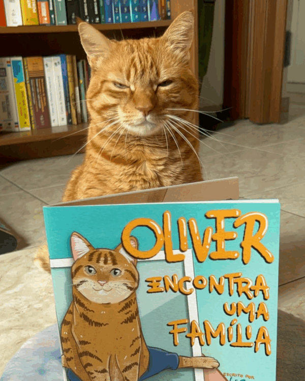 Capa do livro Oliver Encontra uma Família ao lado do gato Oliver
